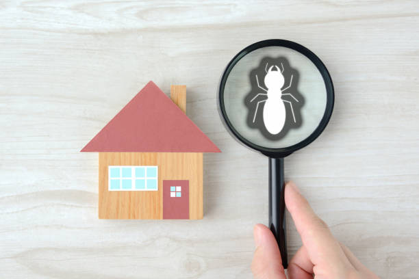 The Minute Man Termite Control and Repairs