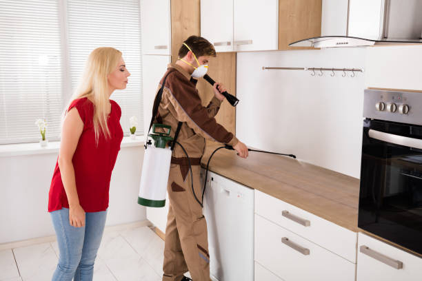The Minute Man Termite Control and Repairs