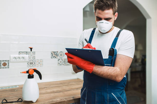 The Minute Man Termite Control and Repairs