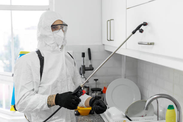 The Minute Man Termite Control and Repairs