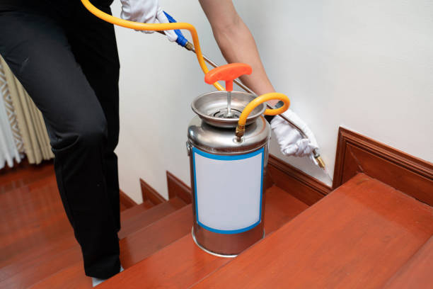 The Minute Man Termite Control and Repairs